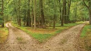 Leaders who chase shadows often abandon their true mission.