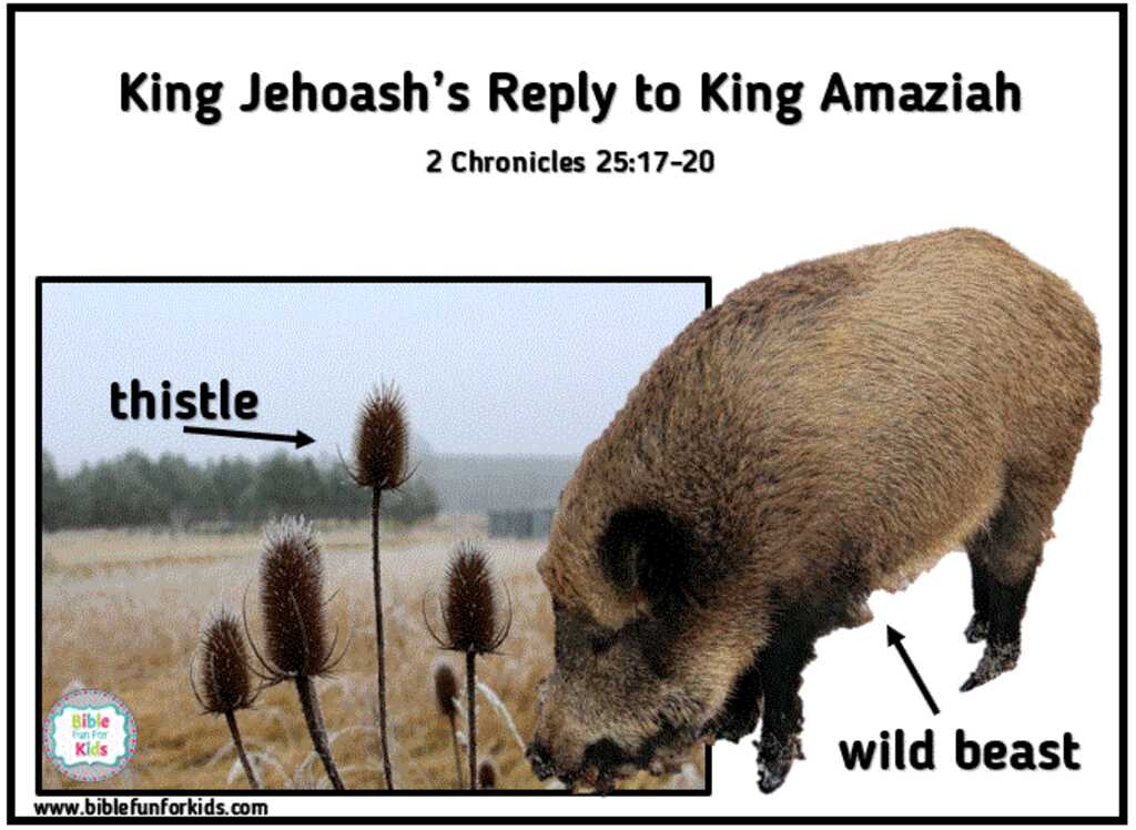 Joash 'Wild beast' Parable to Amaziah (Image from Inspired Scripture)